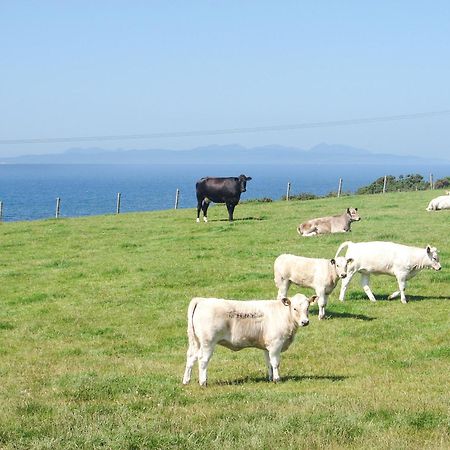 Vila Fiddlers Rest Ballantrae Exteriér fotografie