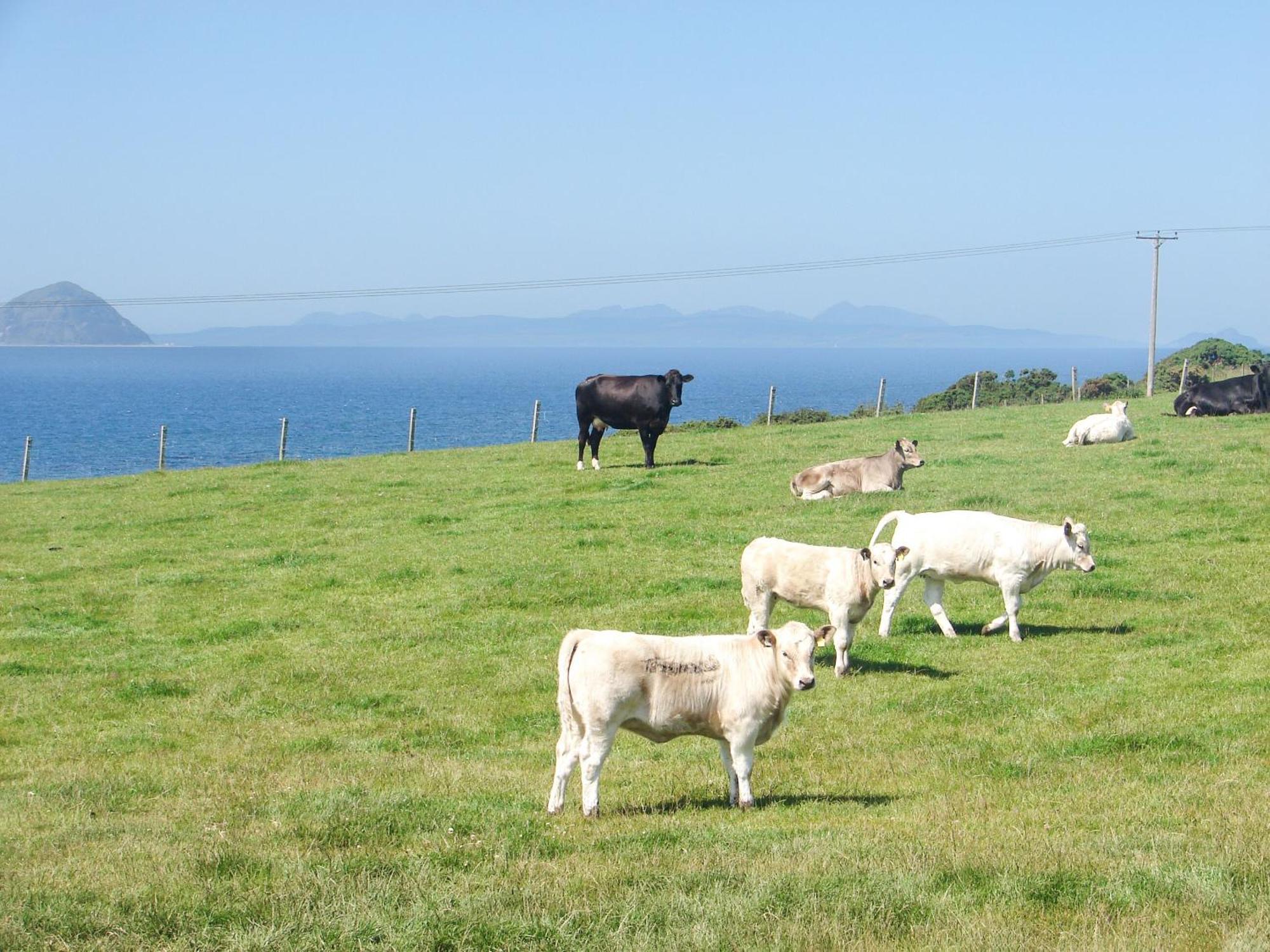 Vila Fiddlers Rest Ballantrae Exteriér fotografie
